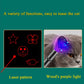 USB Rechargeable Laser Pattern Funny Cat Flashlight With Woods Purple Light Detection Lamp, Funny Cat Flashlight