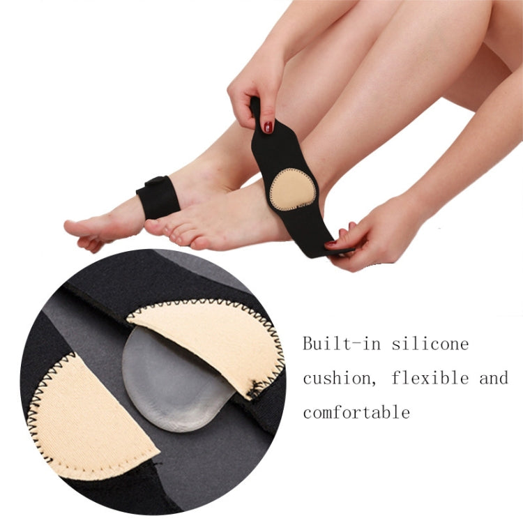 TBD0572252101_B3.jpg@8bb78312acd5cab666e3597862ef95da