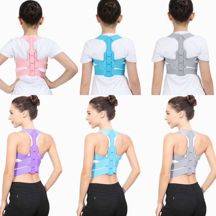Posture correction belt back views in gray, blue, and pink on model