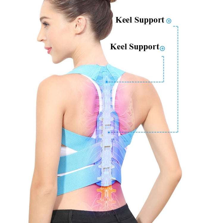 Back posture corrector belt with support panel shown over upper spine