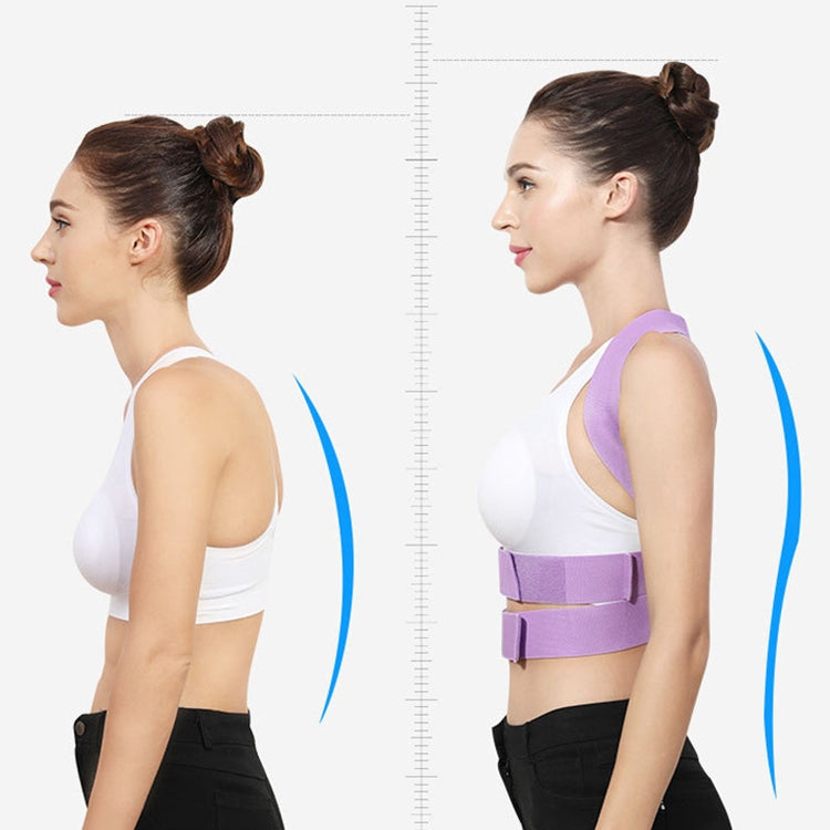 Posture correction belt side view on model, lavender band with gray support brace