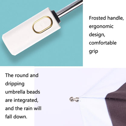 TBD0574129401_B4.jpg@1ed04724e79645d6db8fd98e7ba24163