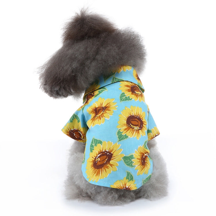 Dog summer shirt with sunflower print on light blue fabric.