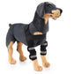 Pet dog leg knee guard suit in dark gray with black straps and gray-striped knee braces