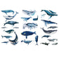 TBD0585879701F.jpg@f49a9a2e51133a021042241813c5039c