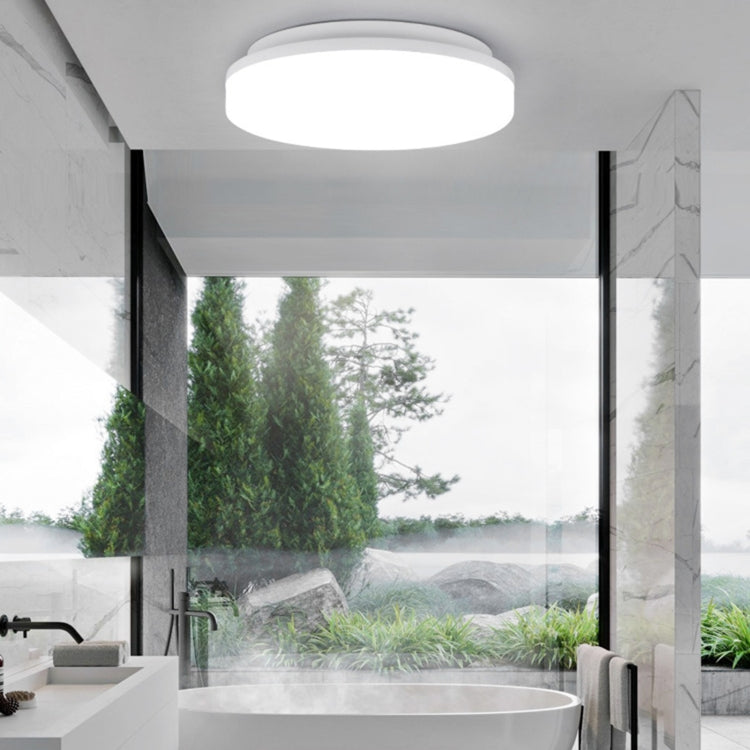 Round LED ceiling lamp with frosted diffuser ring, white, flush-mount
