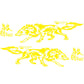 TBD0594937601D.jpg@42cc9fb931be7cd6661523757ea1578c