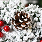 TBD0595288004_B4.jpg@d5206d4e5f98a13f9dc1ed3fb60a1908