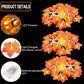 TBD0595935202_B3.jpg@fa828e076776e61a142ec5926517fbf2
