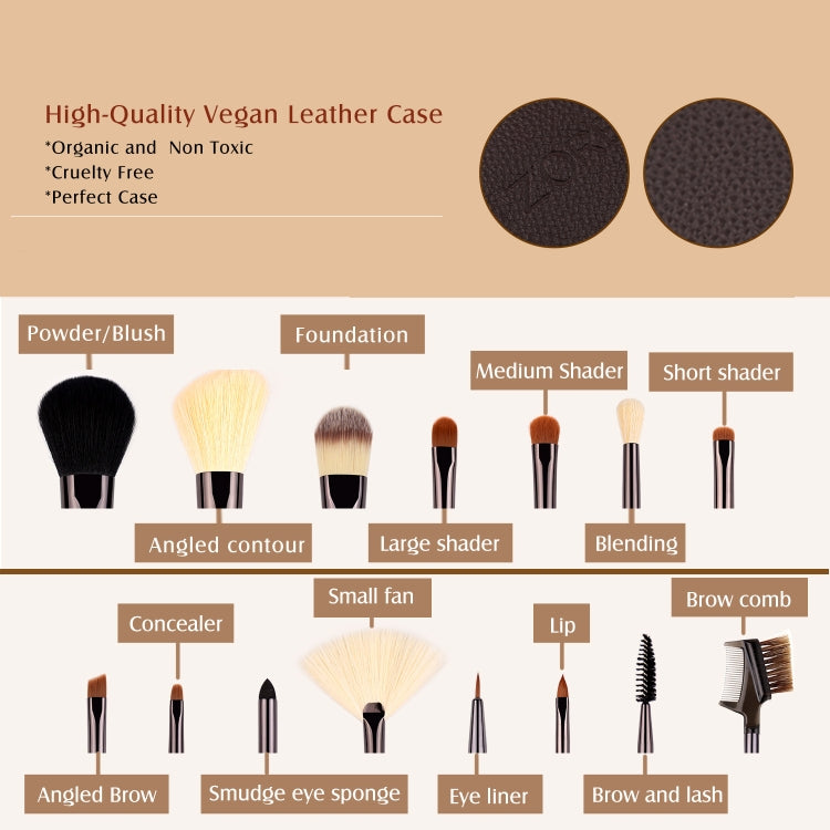 Assorted makeup brushes with black and beige bristles displayed on a layout