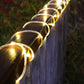 TBD0599739101A_3.jpg@18e61a7d9d426cdfe7b55296806e3a60