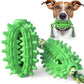 Green spiked dog molar chew toy with rope handles.