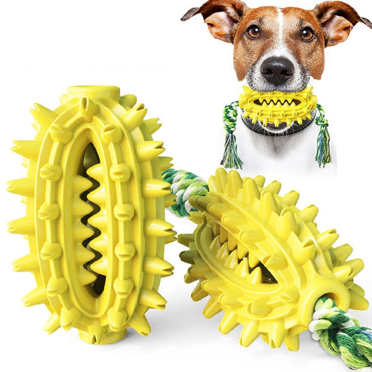 Dog Toy With Rope Prickly Pear Molar Stick Dog Toothbrush, Lake Blue, Green, Yellow