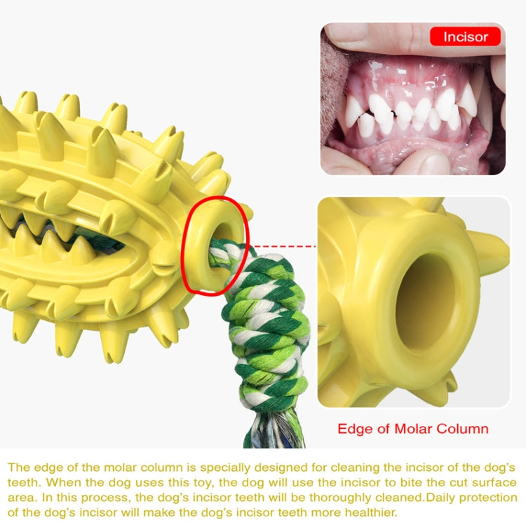 Yellow spiked dog molar chew toy with rope; molar-column edge detail.