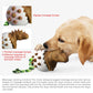 Golden retriever with a white and brown dinosaur egg chew toy and braided rope