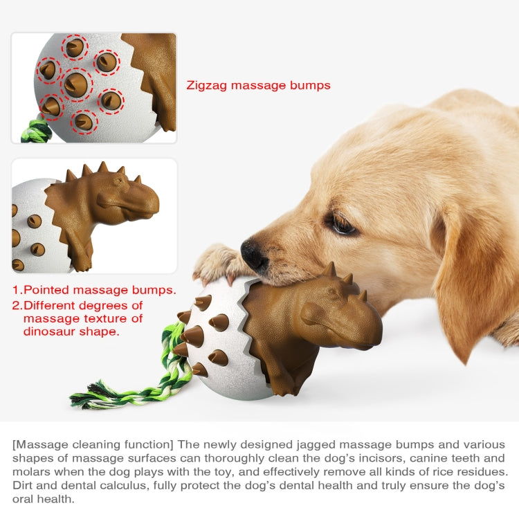 Golden retriever with a white and brown dinosaur egg chew toy and braided rope