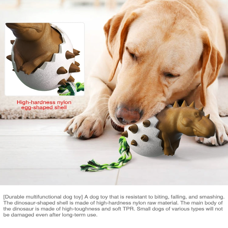 Golden retriever chewing a brown dinosaur egg molar stick with braided rope