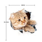 TBD0601614707_1.jpg@a13389298123479f6b010a681a16fbdc