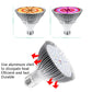 LED plant growth lamp bulb with lens array showing warm and pink full-spectrum glow