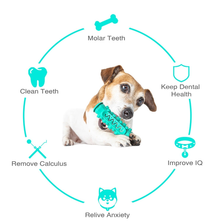 Dog molar stick toothbrush with teal-blue chew bar held in a dog’s mouth