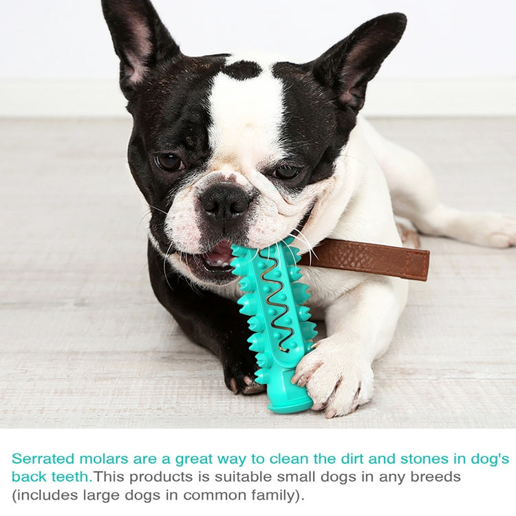 Dog molar stick toothbrush in dog’s mouth, teal-blue chew bar with front spikes