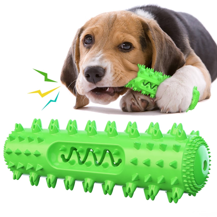 Green spiked dog dental chew toy held by a beagle