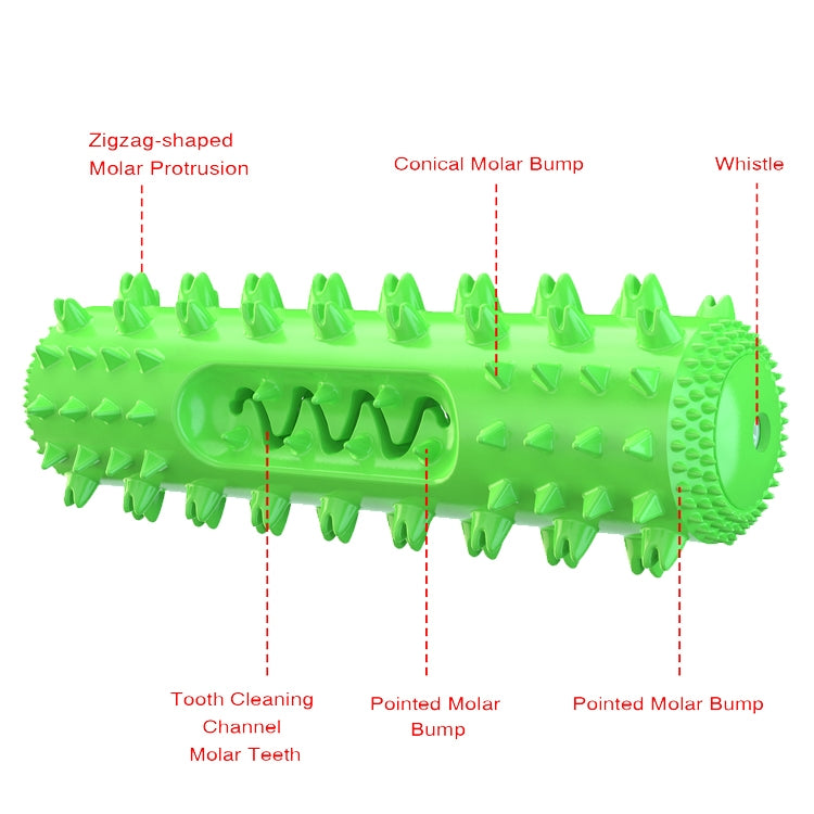 Green spiked dog dental chew toy with circular end and tooth-cleaning ridges