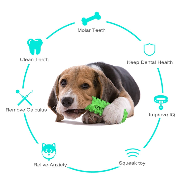 Beagle with green spiked dog dental chew toy