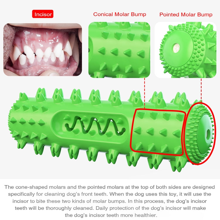 Green spiked dog dental chew toy with rounded end opening