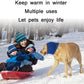 Blue ribbed knit dog headscarf on dog in cold-weather scene