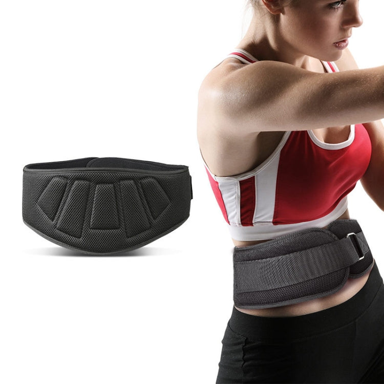 Sports Waist Support Squat Weightlifting Training Belt, Size:, M, L, XL