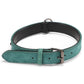 Green-teal double-layer leather dog collar with metal buckle and D-ring