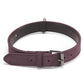 Double-layer leather dog collar in maroon and black, with metal buckle and D-ring.