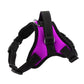 K9 Dog Adjustable Chest Strap, Size:, XS, S, M, L, XL