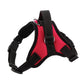 K9 Dog Adjustable Chest Strap, Size:, XS, S, M, L, XL