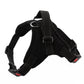 K9 Dog Adjustable Chest Strap, Size:, XS, S, M, L, XL