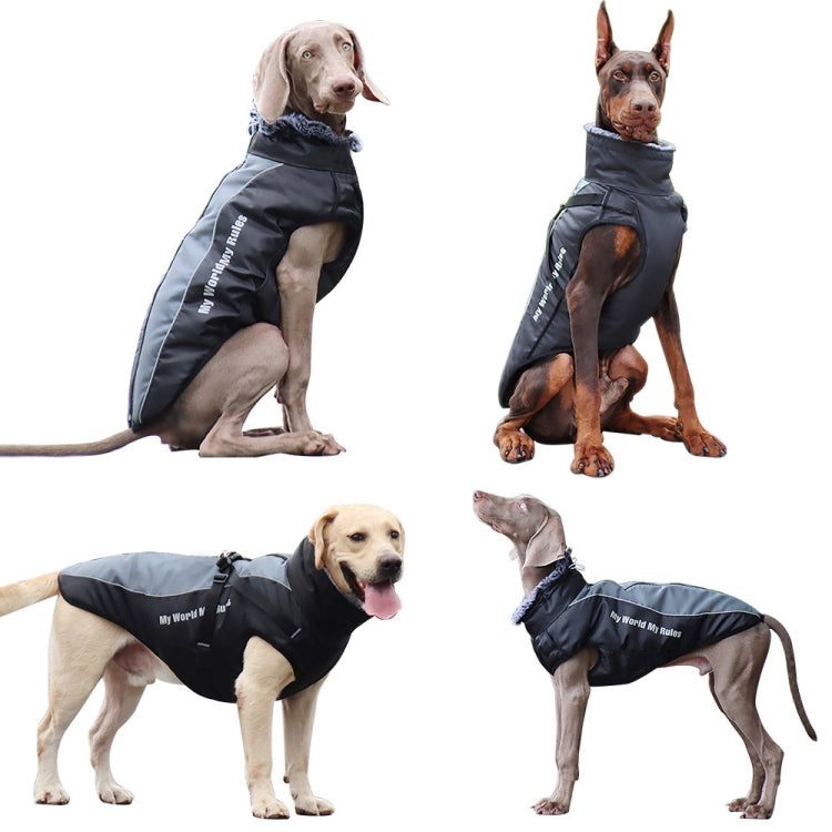 Reflective dog winter coat on dogs, dark coat with gray collar and adjustable harness straps