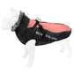 Reflective dog winter coat, black with red padded back panel and adjustable chest straps