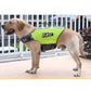 Reflective Printed Pet Dog Life Jacket Swimsuit, M, L