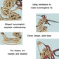 Wooden hummingbird mechanical puzzle with floral-like top petals and tan gear details