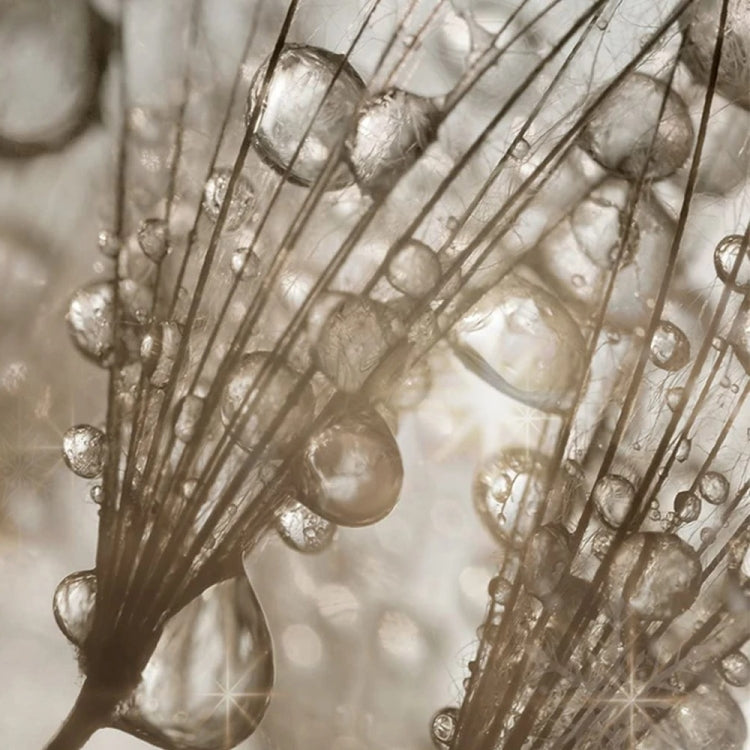 Close-up of abstract metallic droplets and branching lines in warm gray and gold tones