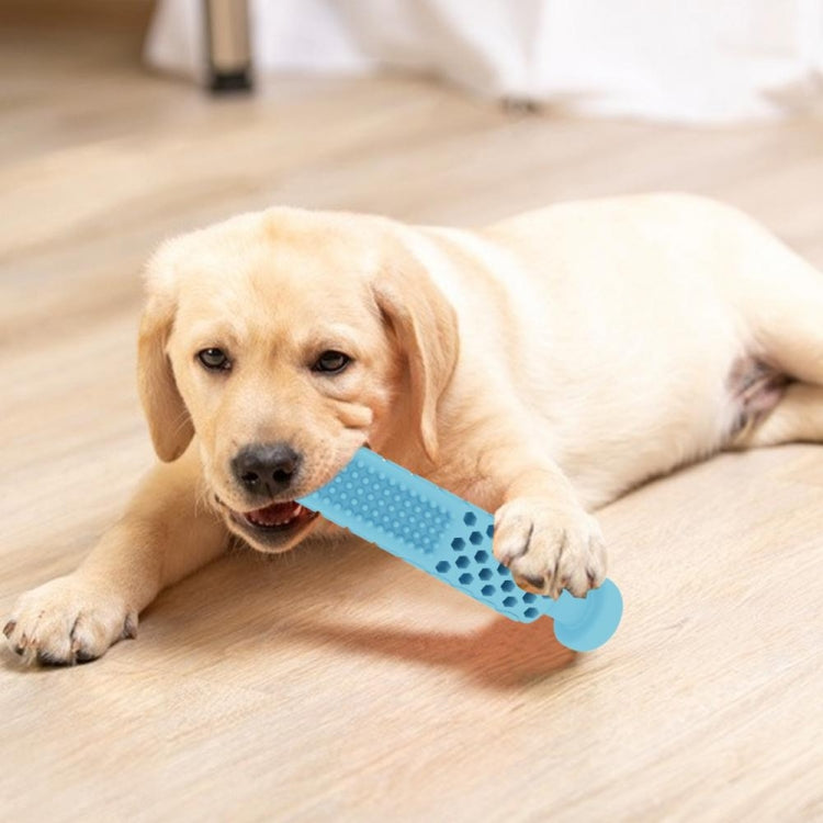 Dog holding a light blue toothpaste-shaped teething bite toy with raised cleaning bumps