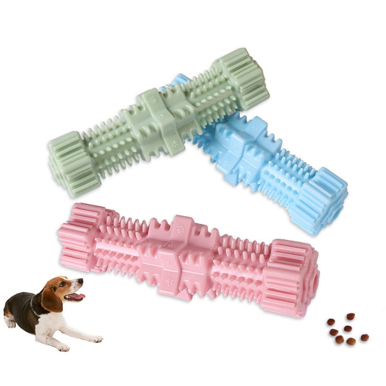 Assorted hexagonal molar dog chew toys in green, light blue, and pink