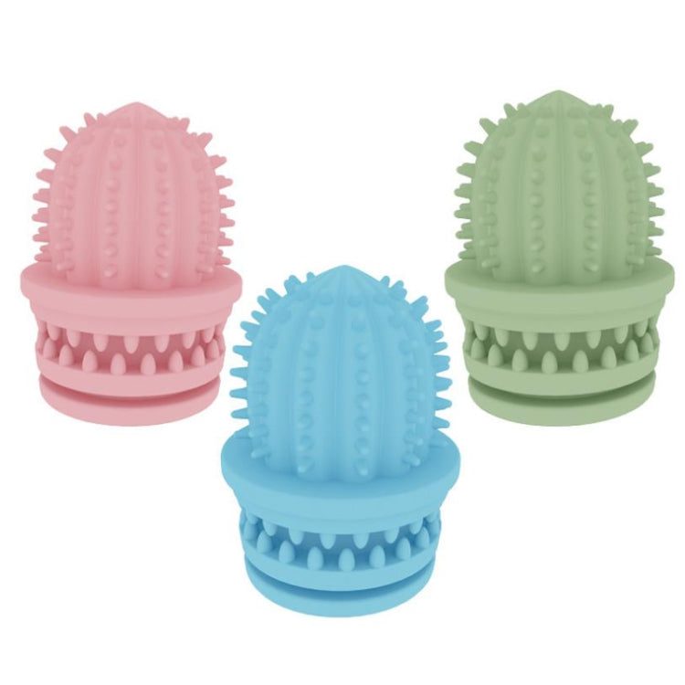Cactus-shaped TPR pet teeth cleaning chew toy in blue, pink, and green colors