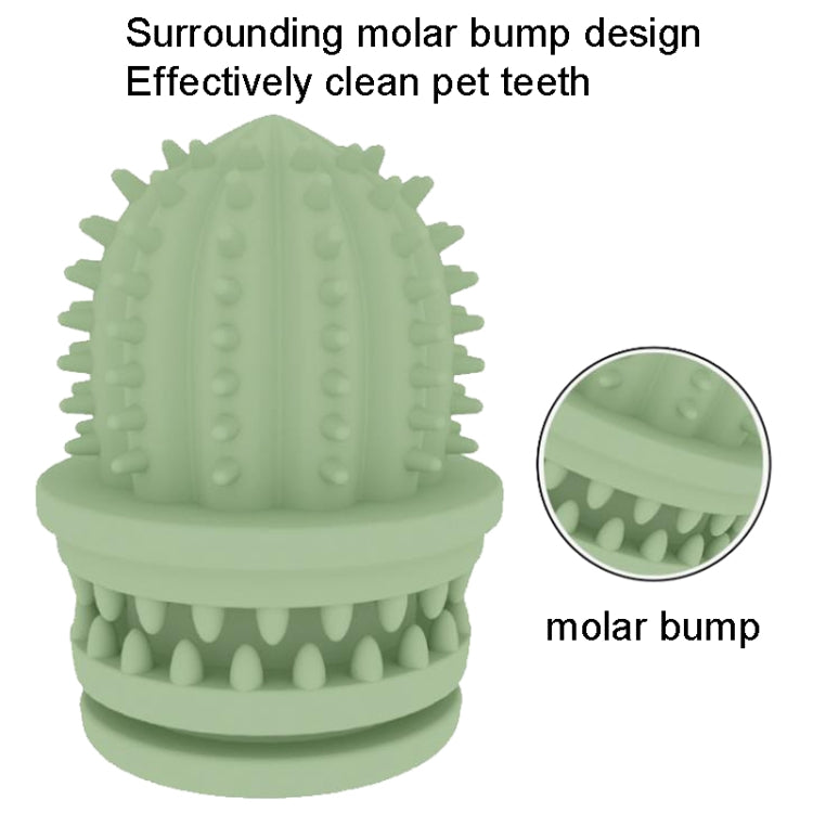 Avocado green cactus-shaped TPR teeth cleaning chew toy with raised molar bumps