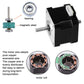 Stepper motor exploded view showing bearing, motor coil, and wiring leads