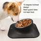 Dog eating from an inclined stainless steel pet feeder with neck guard