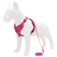 Pink dog chest traction vest with adjustable straps and long leash rope