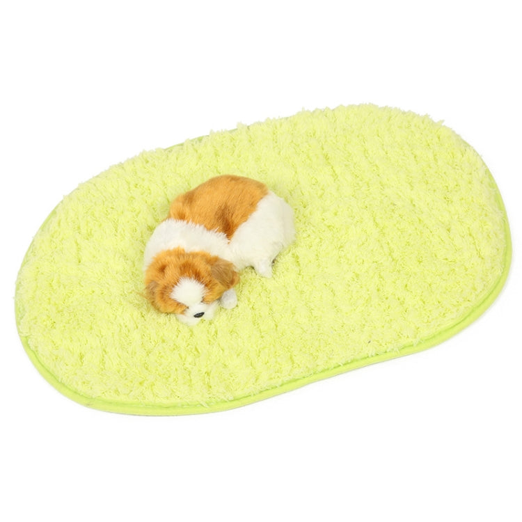 Lime green oval plush pet bed pad with small dog resting on it
