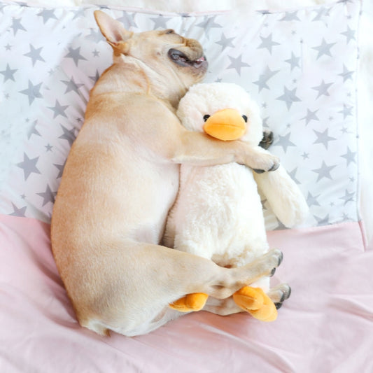 Hoopet Dog Biting Toy Pet Plush Duckling Sound Toy, Small, Large
